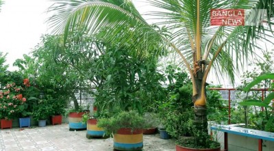 ছাদ বাগান করলে ১০ শতাংশ হোল্ডিং ট্যাক্স ছাড়
