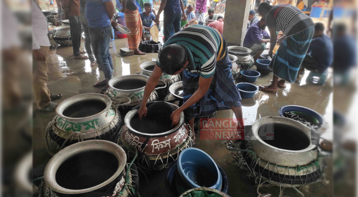 জমে উঠেছে বৃহত্তম চিংড়ি পোনার হাট