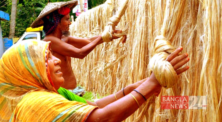 সুদিন ফেরার স্বপ্ন দেখাচ্ছে ‘সোনালি আঁশ’