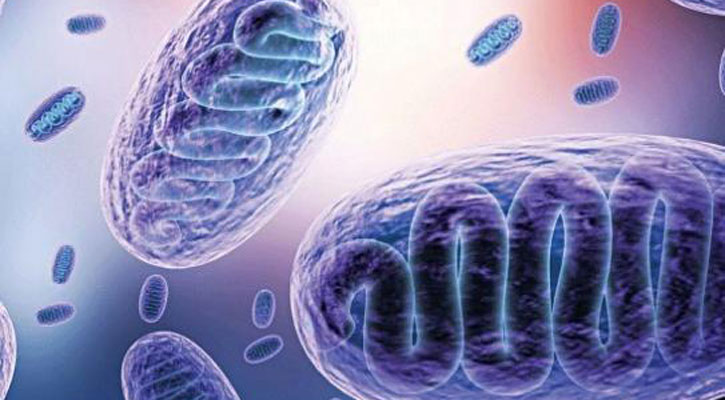 ব্ল্যাক ফাঙ্গাসেই মারা গেছেন বারডেমের সেই রোগী