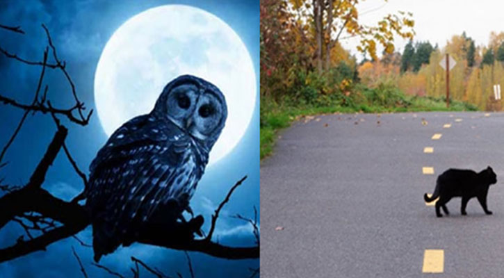 প্রচলিত কিছু কুসংস্কার