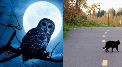 প্রচলিত কিছু কুসংস্কার