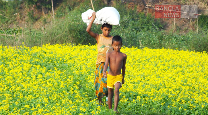 মায়াময় হেমন্তের সকাল