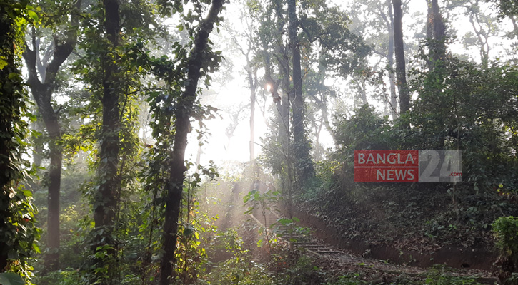 ১৫ ফেব্রুয়ারির পর থেকে শীত বিদায় নেবে ত্রিপুরায়