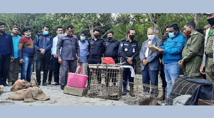 উদ্ধার হওয়া ২৬ বন্যপ্রাণী সুন্দরবনে মুক্ত