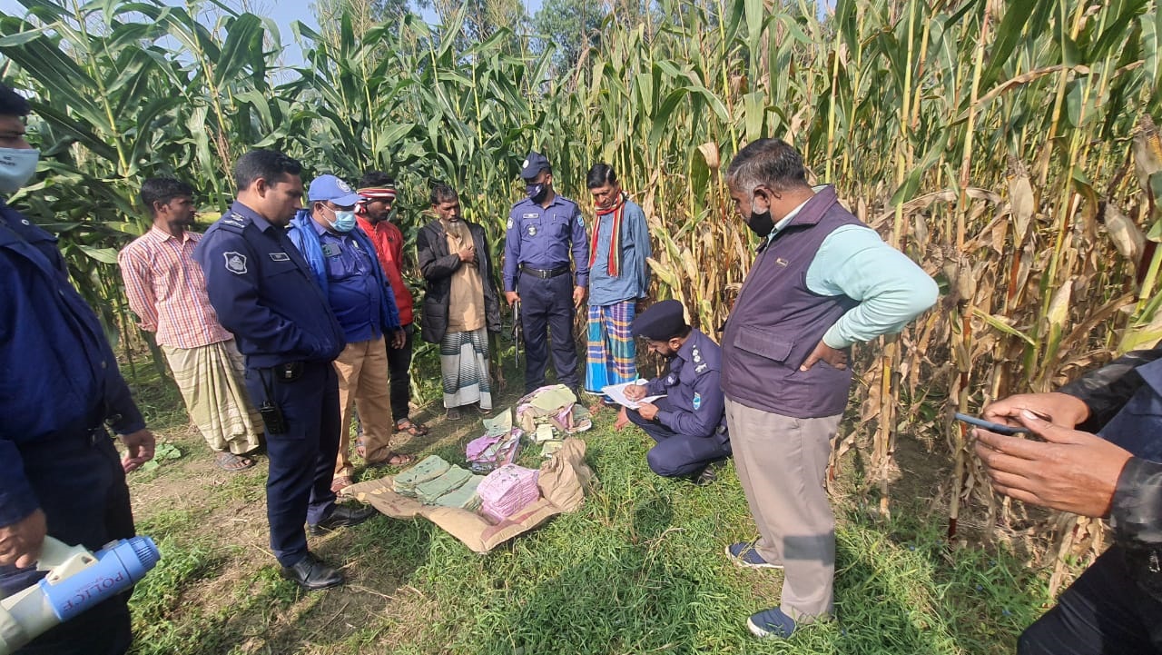 ভুট্টা ক্ষেতে মিললো বস্তাভর্তি সিল মারা ব্যালট পেপার