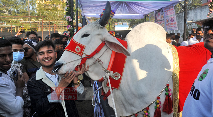 ক্যাটেল এক্সপোতে নানা বয়সী দর্শকের ভিড়