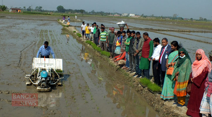 ঈশ্বরদীতে রাইস ট্রান্সপ্লান্টারের মাধ্যমে ধানের চারা রোপণ 