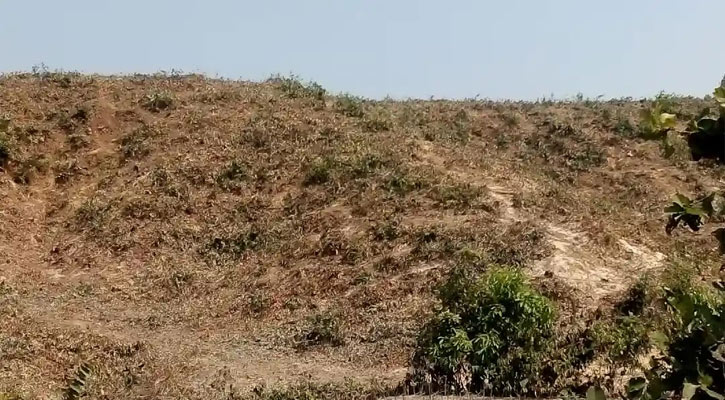 চকরিয়ায় সংরক্ষিত বনের কয়েক হাজার গাছ কেটে সাবাড়