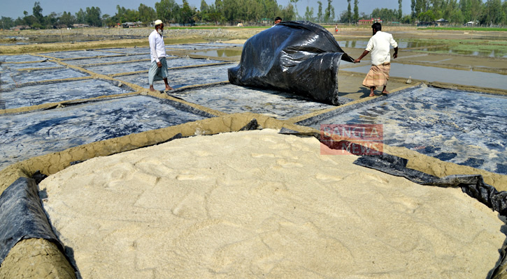 বাঁশখালী উপকূলের ১৫ হাজার হেক্টর জমিতে লবণ চাষ