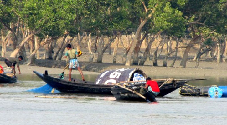 সুন্দরবনে বিষ দিয়ে মাছ শিকার, ২ জেলে আটক