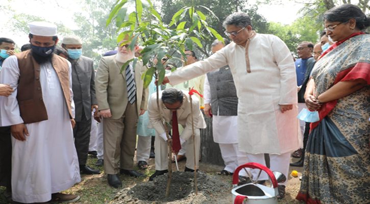 একটি করে গাছ লাগানোর অনুরোধ প্রধান বিচারপতির