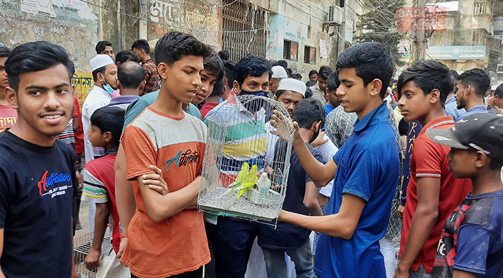 ব্রাহ্মণবাড়িয়ায় প্রয়োজন স্থায়ী পাখির হাট