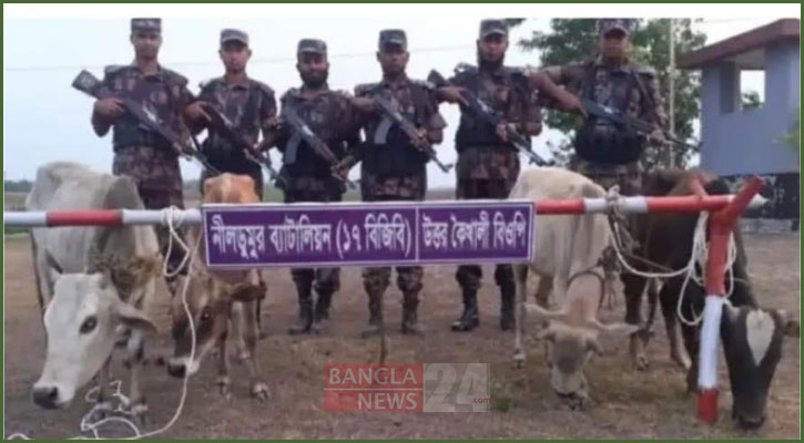 বিজিবিকে দেখে গরু রেখে পালাল ভারতীয় চোরাকারবারিরা