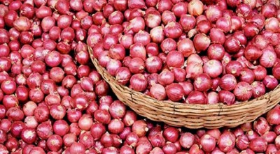 হুজুগে বেড়েছে পেঁয়াজের দাম, এ সপ্তাহেই কমবে