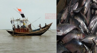 সাগরে মাছ ধরা বন্ধ, মেঘনায় ধরা পড়ছে ইলিশ