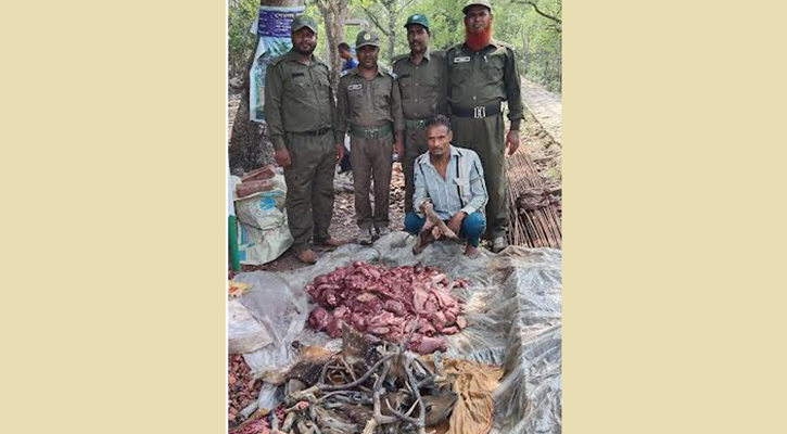 সুন্দরবনে হরিণের মাংস ও মাথাসহ শিকারি আটক