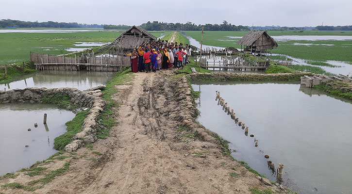 জোর করে কৃষিজমিতে মাছের ঘের করার অভিযোগ