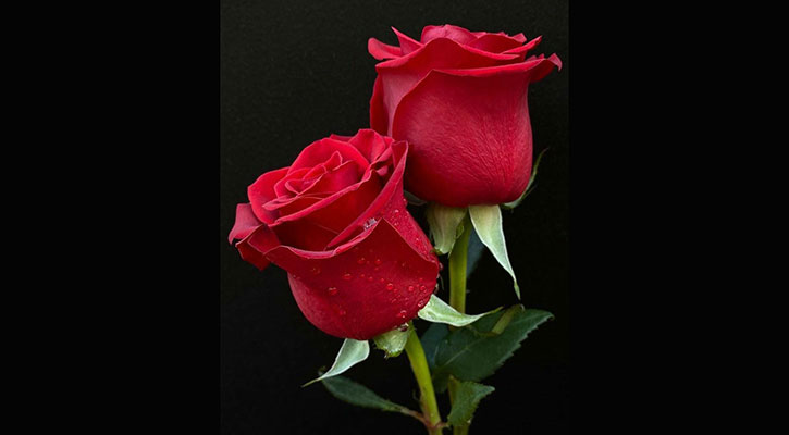 স্ত্রীকে সন্তুষ্ট রাখতে চাইলে