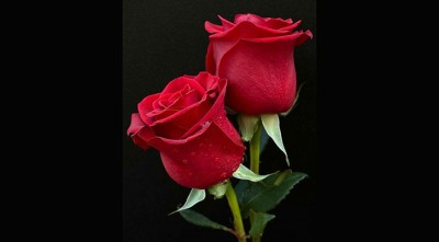 স্ত্রীকে সন্তুষ্ট রাখতে চাইলে