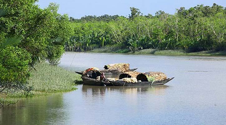 সুন্দরবনে অবৈধভাবে প্রবেশ করায় ২ নৌকা আটক