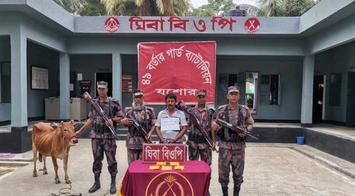 বেনাপোল সীমান্তে হেরোইন-গরুসহ চোরাকারবারি আটক