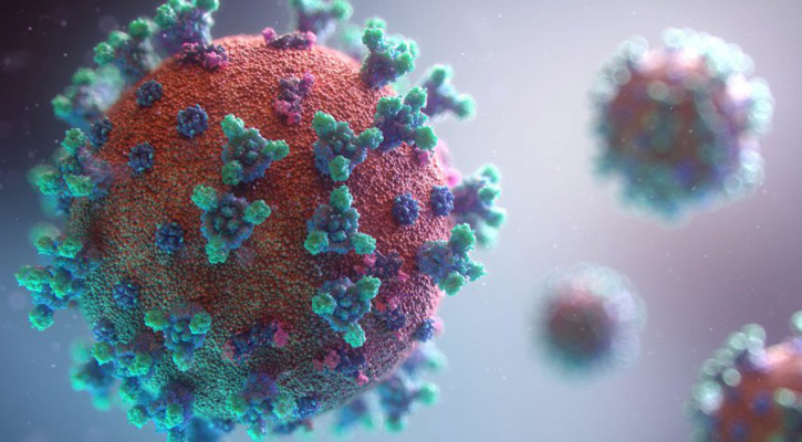 করোনাভাইরাস: নতুন শনাক্ত ৪৩৩, মৃত্যু নেই