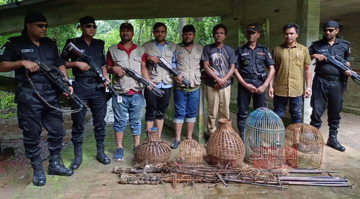 বনবিভাগের অভিযানে শিকারি পাখি উদ্ধার, অসংখ্য ফাঁদ জব্দ