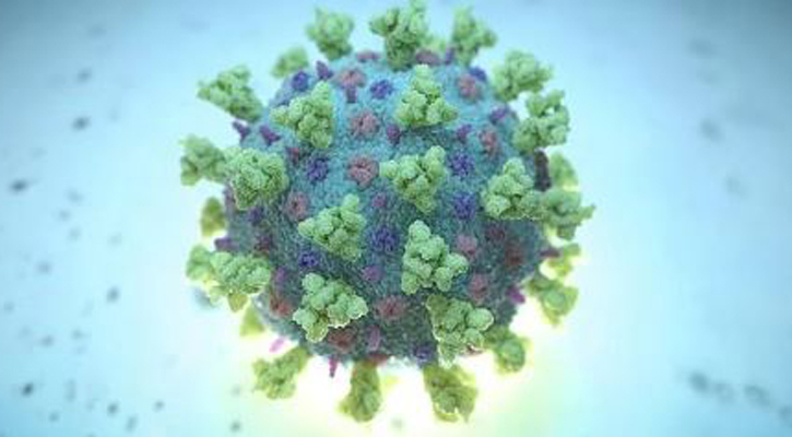 মেহেরপুরে সিআইডির এসপিসহ করোনায় আক্রান্ত ৮