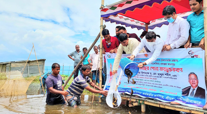 হাইল হাওরে বিপন্ন প্রজাতির মাছের পোনা অবমুক্ত