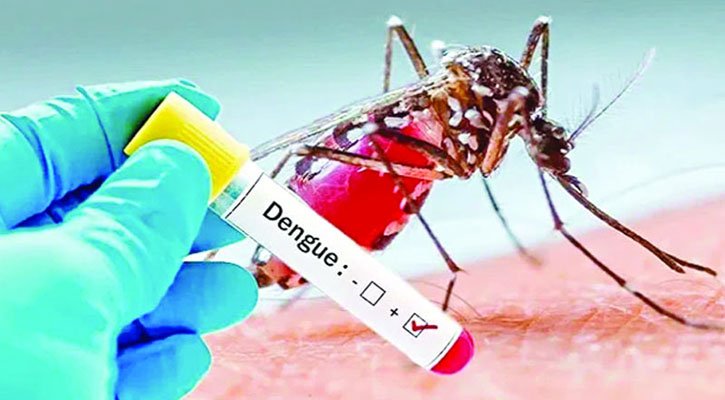 আরও ৩১ ডেঙ্গু রোগী হাসপাতালে ভর্তি