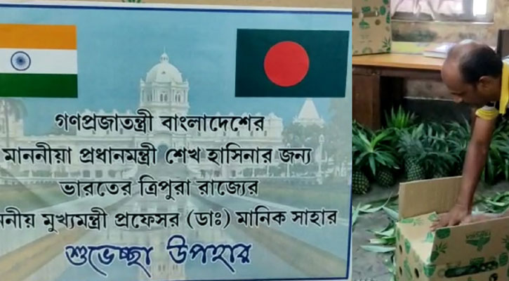 ত্রিপুরা থেকে শেখ হাসিনাকে পাঠানো হচ্ছে আনারস