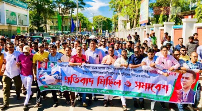 ধনিকে আ’লীগের সন্ত্রাসীরাই হত্যা করেছে: মামুন হাসান