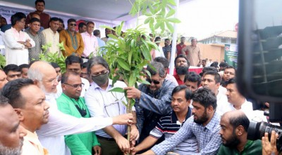 ১ লাখ ৭০ হাজারের বেশি বৃক্ষরোপণ করলো যুবলীগ