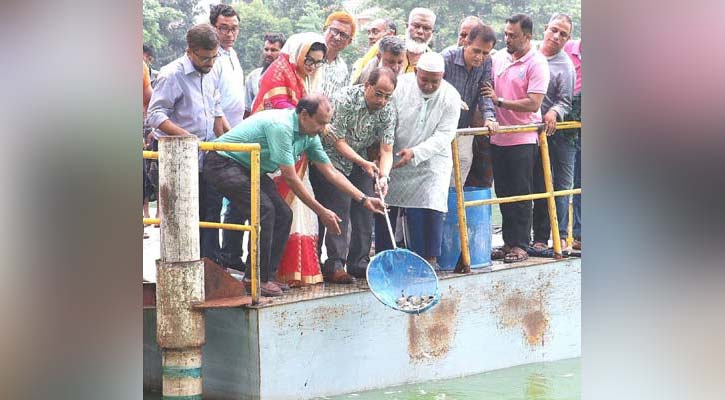 লোডশেডিংয়ের নামে দেশে ভয়াবহ অবস্থা বিরাজ করছে