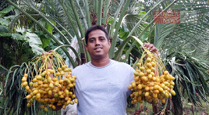 সৌদির খেজুর চাষে স্বপ্ন বুনছেন জামাল