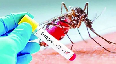 আরও ৮৭ ডেঙ্গু রোগী হাসপাতালে ভর্তি