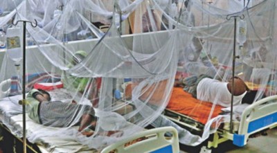 আরও ৭৯ ডেঙ্গু রোগী হাসপাতালে ভর্তি