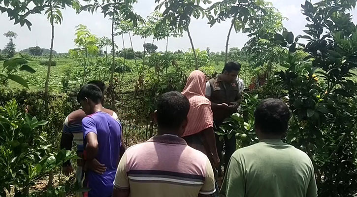 ঝিনাইদহে মাল্টা বাগানের মালিককে পিটিয়ে হত্যা 