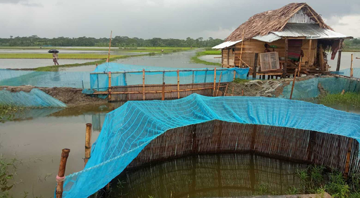 বাগেরহাটে যুবলীগ নেতার দাপট, সরকারি খালে মাছের ঘের!