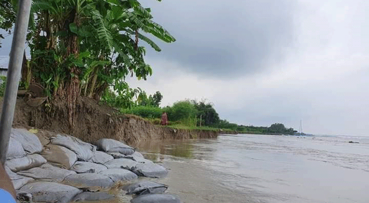 শরীয়তপুরে ভাঙনের ঝুঁকিতে ২ শতাধিক পরিবার