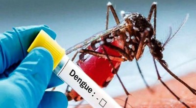 আরো ২৭৯ ডেঙ্গু রোগী হাসপাতালে ভর্তি