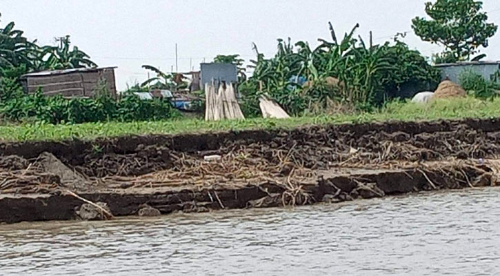 ফরিদপুরে পদ্মার তীব্র ভাঙনে নদীগর্ভে ৩০০ বাড়ি