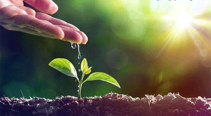 পরিবেশ নিয়ে হাদিসের উদ্ধৃতি দিলেন ব্রিটিশ কূটনীতিক