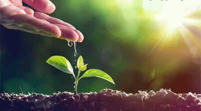 পরিবেশ নিয়ে হাদিসের উদ্ধৃতি দিলেন ব্রিটিশ কূটনীতিক