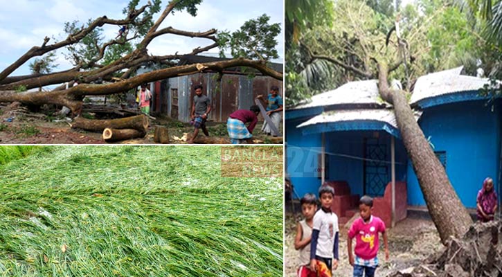 লক্ষ্মীপুরে কাঁচা বাড়ি-ঘর বিধ্বস্ত, ফসলের ব্যাপক ক্ষতি