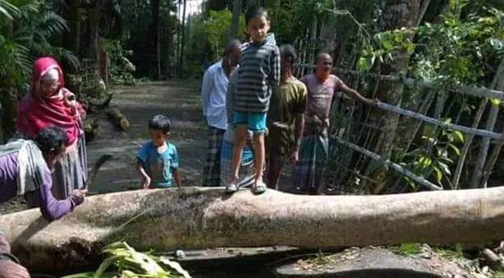 ৩ দিন ধরে বিদ্যুৎহীন পাথরঘাটা, জনজীবন দুর্বিষহ