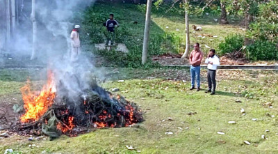 আগৈলঝাড়ায় ৪০ হাজার মিটার অবৈধ জাল জব্দ