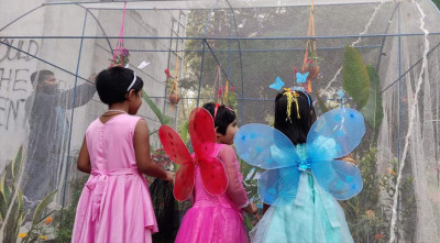 সবুজ ক্যাম্পাসে বর্ণিল প্রজাপতির রঙিন ঝাপটা