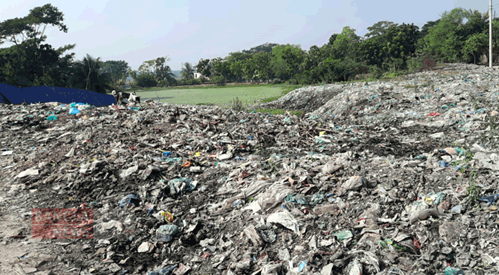 বাগেরহাট পৌরসভার ময়লায় অতিষ্ট মাঝিডাঙ্গা এলাকার বাসিন্দারা